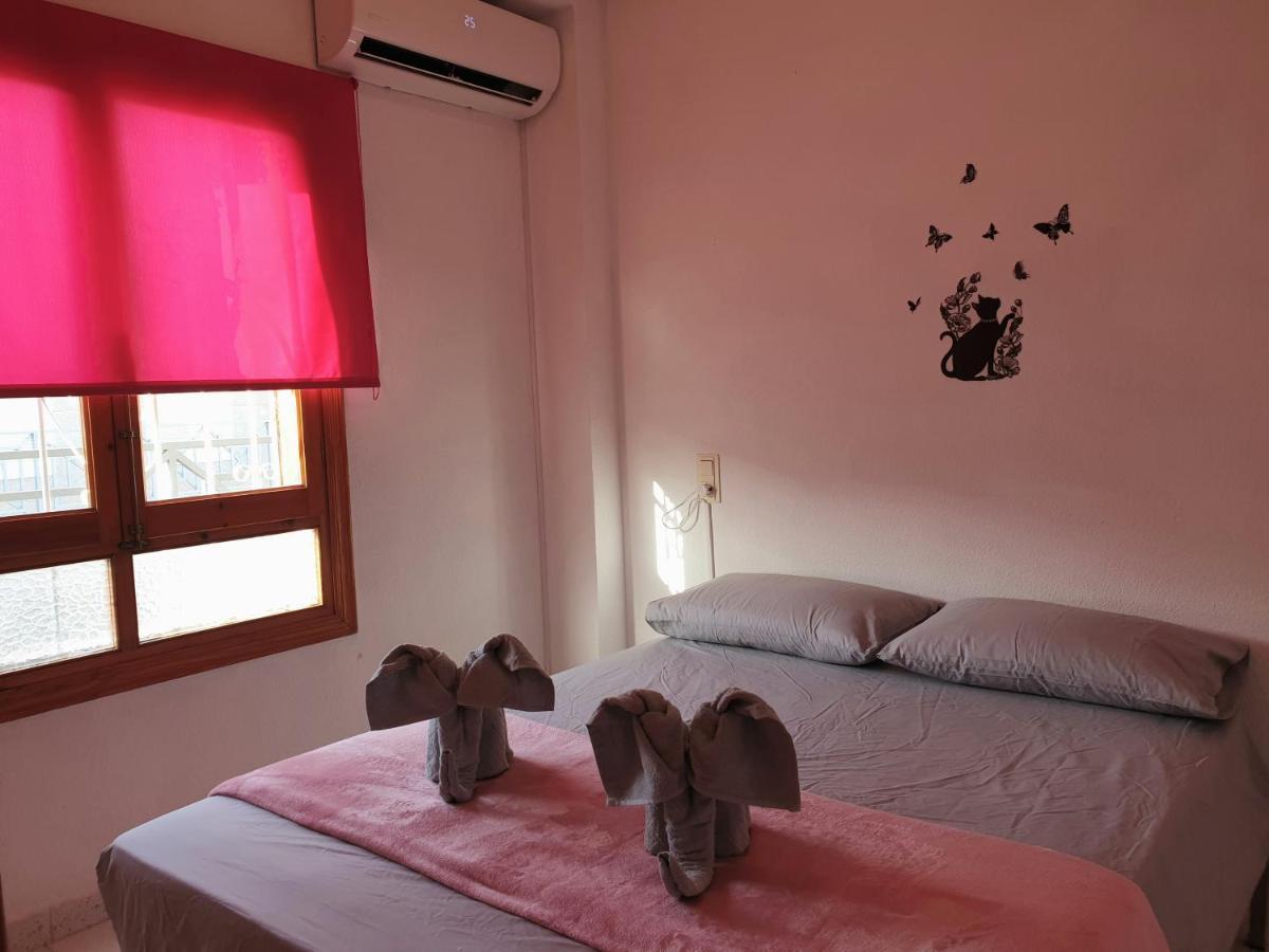 Penthouse Residencial Virginia Daire Torrevieja Dış mekan fotoğraf